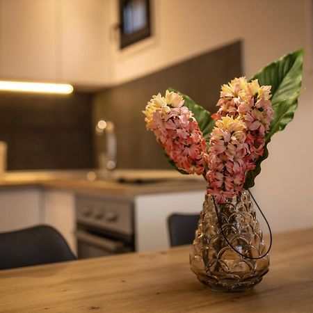 Vista Durmitor - Luxury Cabin Žabljak Kültér fotó